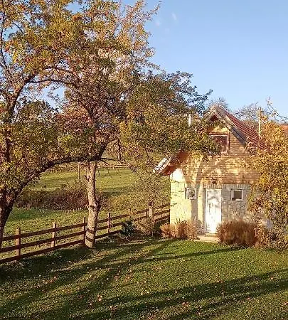 Ferienhaus Vikendica Rakovic Zlatibor